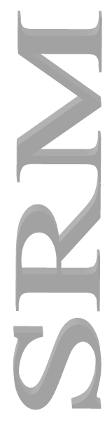 SRM - Sicherheitsdienst Rhein-Main